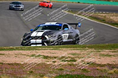 media/Feb-25-2024-Speed Ventures (Sun) [[b9a2a97a4d]]/Mustang Drivers Club/Session 3 (Turn 2)/